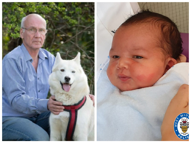 L'Husky ha trovato un neonato abbandonato nel parco e il suo proprietario ha salvato la vita del bambino